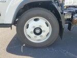 2024 Chevrolet Low Cab Forward 5500 XD Base